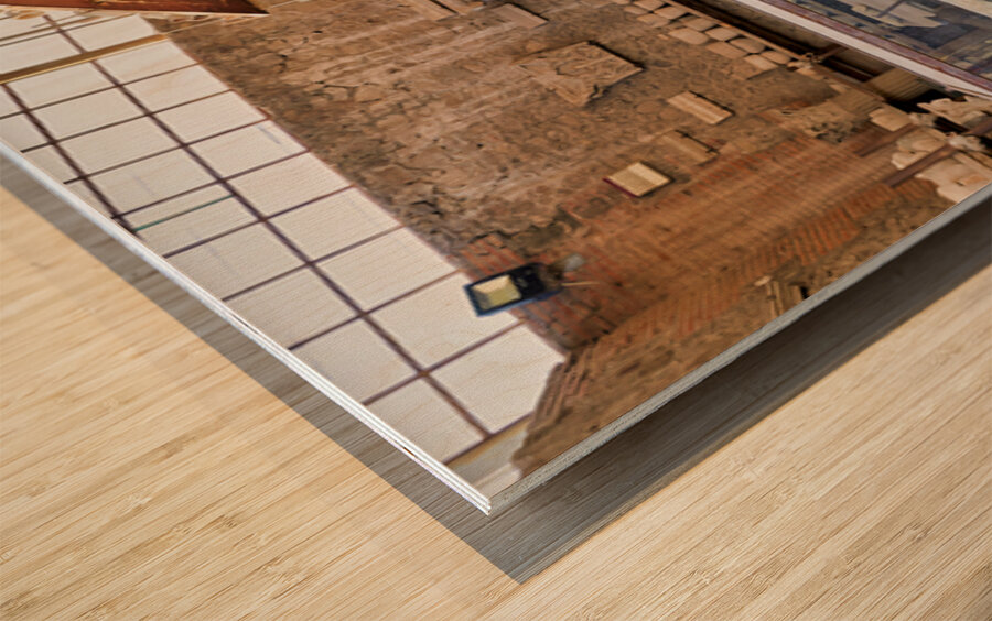 Pompeii site showing artifacts and a plaster cast of a victim Wood print
