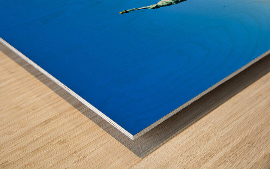 Statue of Liberty stands tall on Liberty Island in New York City Wood print