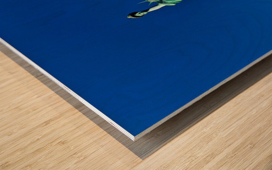 Statue of Liberty stands proudly on Liberty Island in Manhattan Wood print
