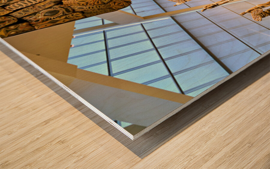 Exploring oceanic art at the Metropolitan Museum in Manhattan Wood print