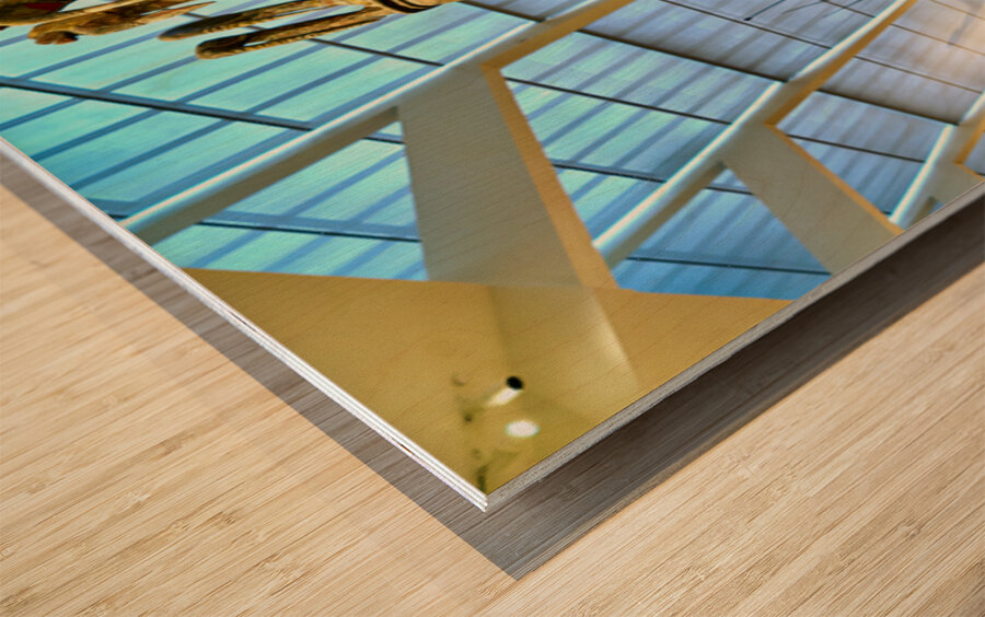 Oceanic Art display in Metropolitan Museum of Art with figures Wood print