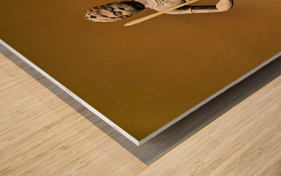 Statue of a warrior from Asia at the Metropolitan Museum of Art Wood print