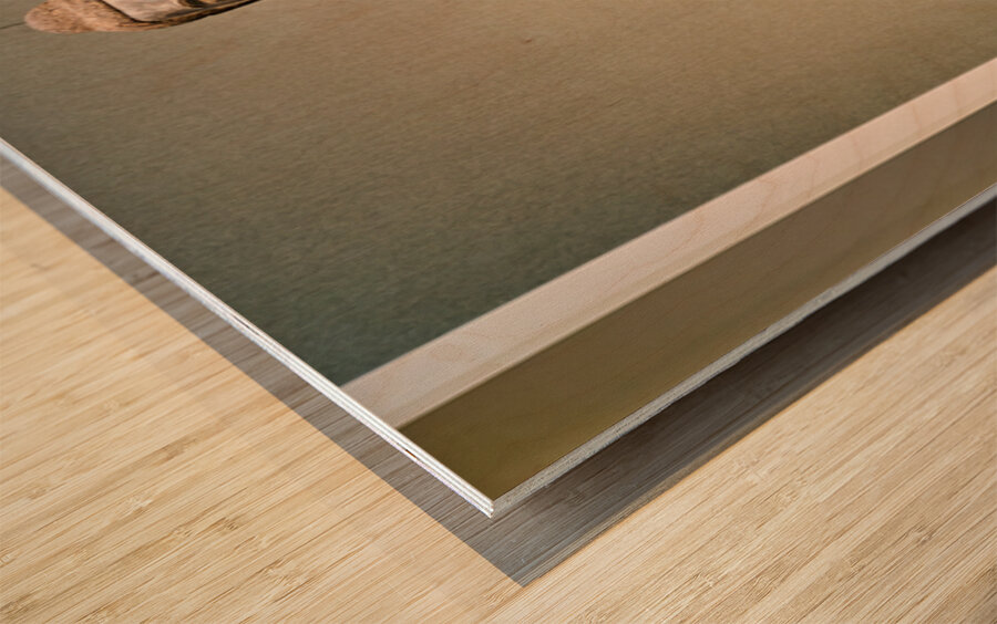 Buddha statue at the Mets Asian art gallery Wood print