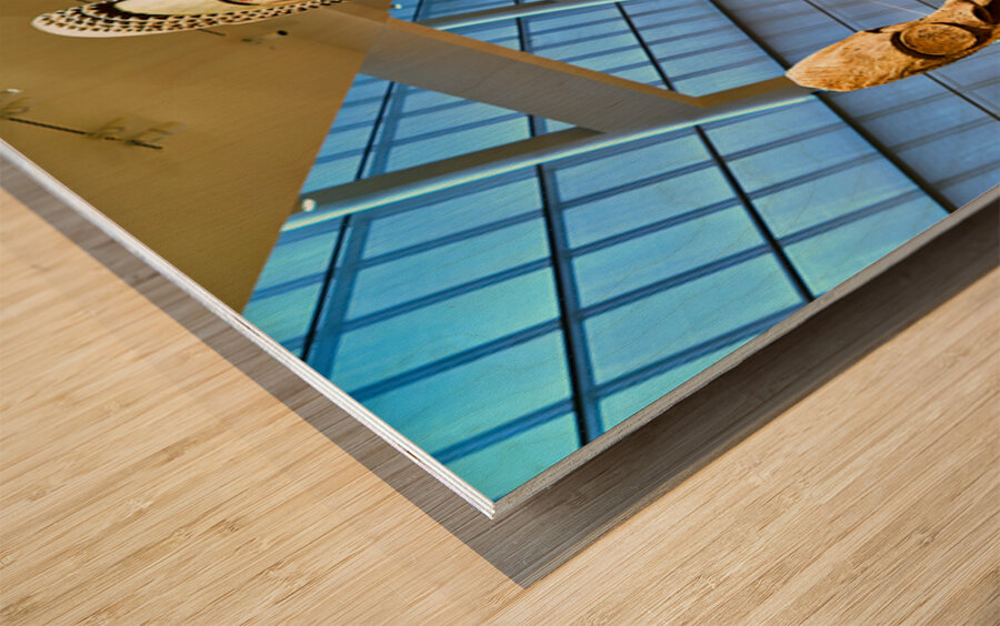 Oceanic art displayed in the Metropolitan Museum of Art in Manha Wood print