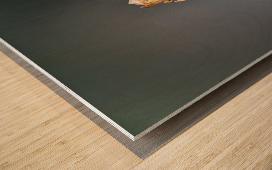 Sculpture of seated figure in Asian Art Gallery at Metropolitan  Wood print