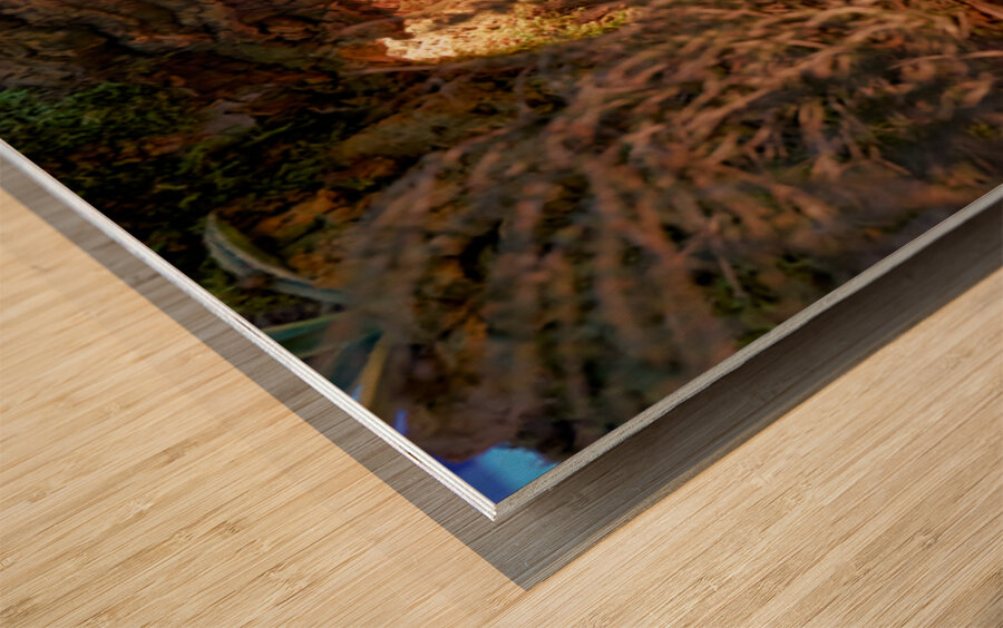 Christmas nativity scene in Caltagirone Sicily Italy Wood print