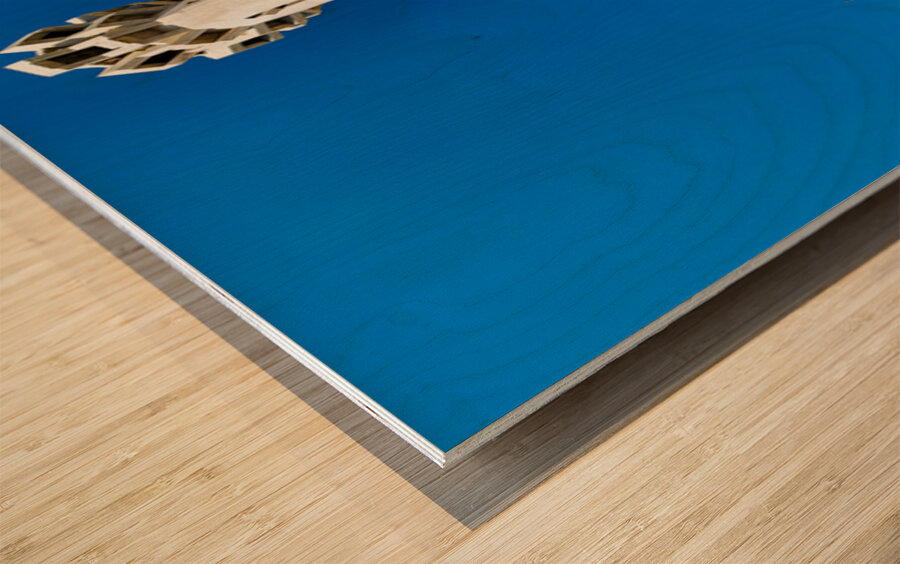 Visit to King Abdullah Mosque in Amman Jordan during clear day Wood print