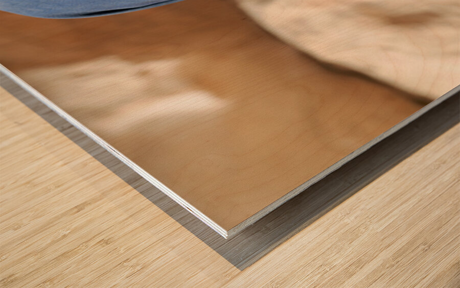 Portrait of an old woman at Little Petra in Jordan Wood print