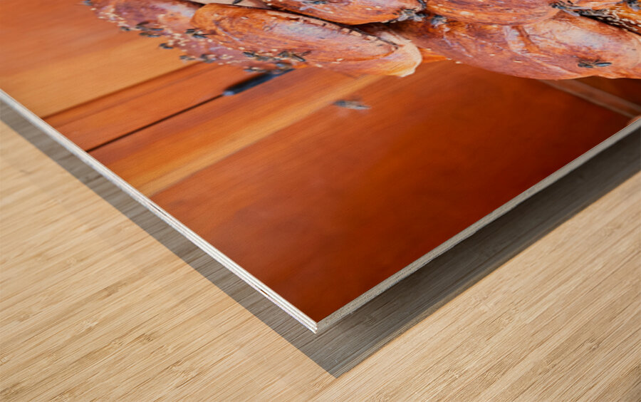 Loaf of bread covered in flies at market in Fez Morocco Wood print