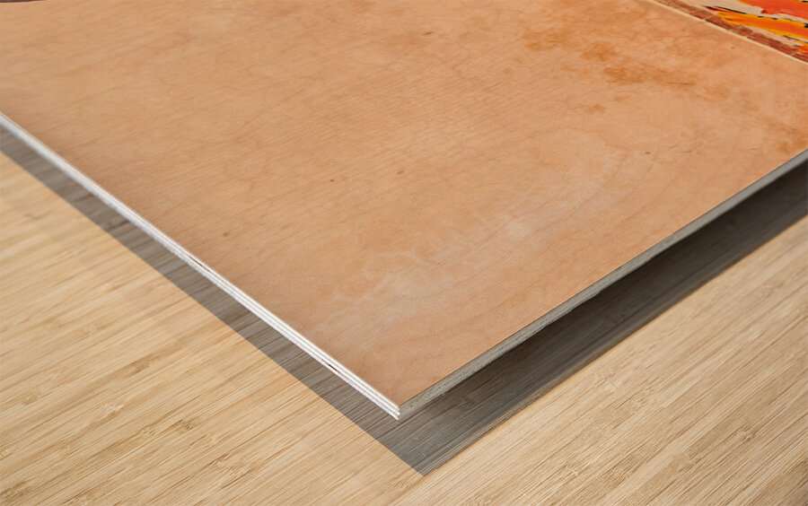 Dyed leather drying in the sun in Marrakesh Morocco Wood print