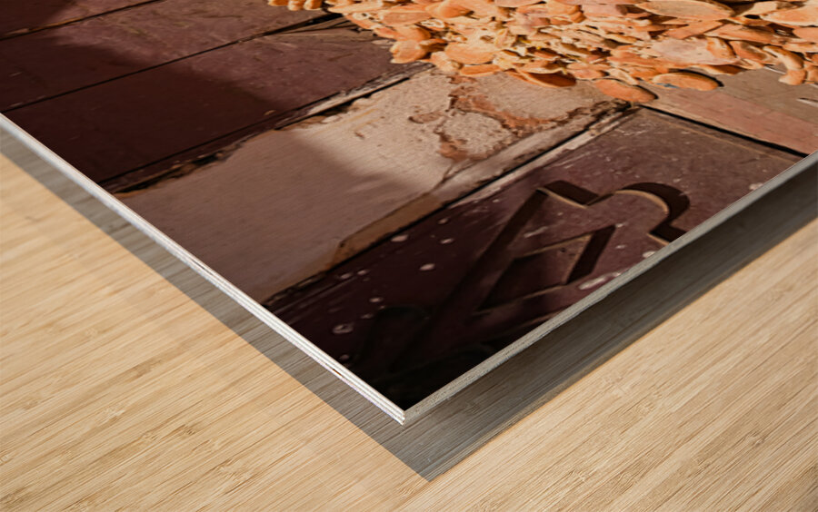 Collecting bread in Meknes Morocco during the day Wood print