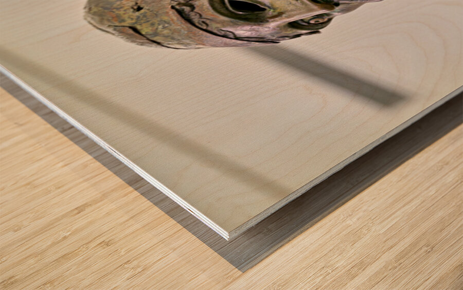 Riace bronze b at national museum reggio calabria Wood print