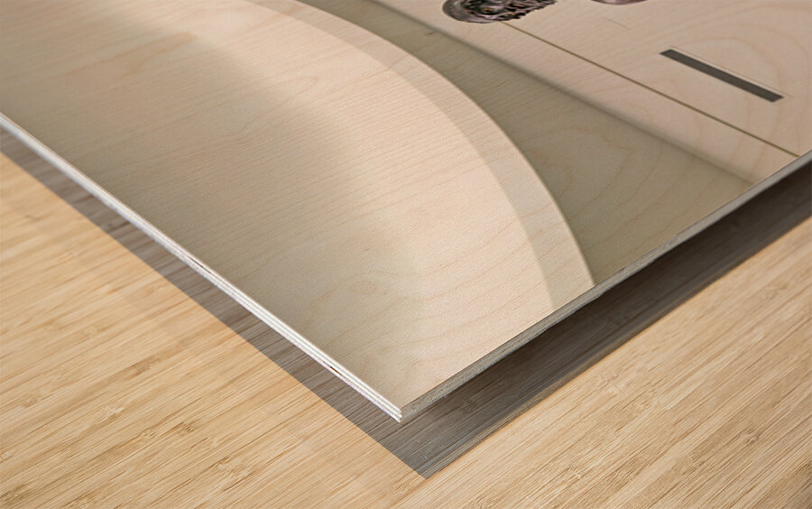 Riace bronzes in national museum of magna grecia at reggio calab Wood print