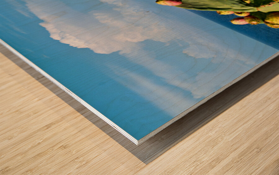 Santa Maria dellIsola Monastery in Tropea Calabria Italy by the Wood print