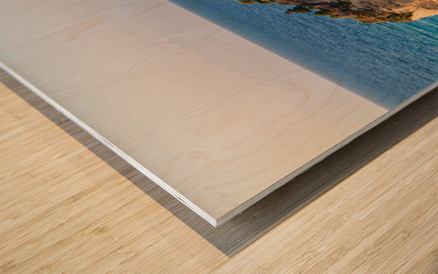 Tourists view Santa Maria dellIsola Monastery in Tropea Calabri Wood print