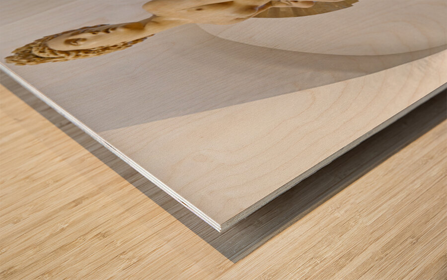 Florence artwork depicts victory over Pisa in museum Wood print