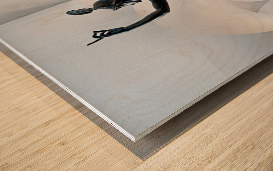 Sculptures at Museo Nazionale del Bargello in Florence Italy Impression sur bois