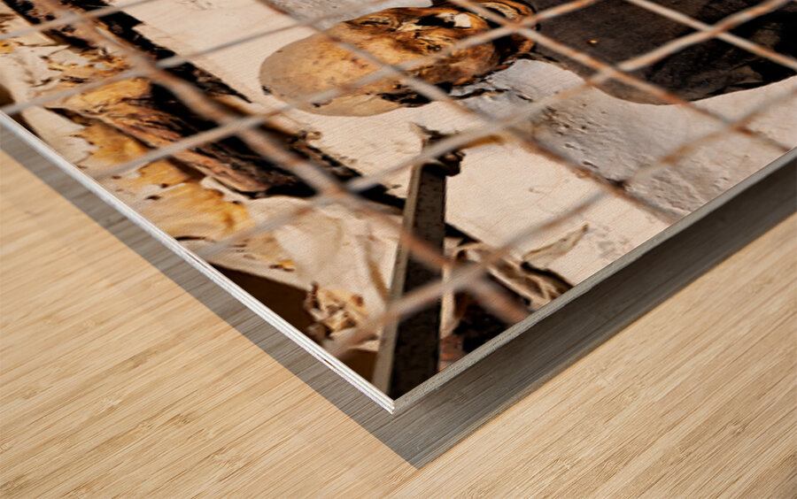 Visitors see mummies in Capuchin Catacombs in Palermo Sicily Wood print