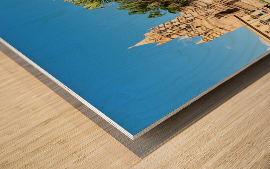 Palermo Cathedral surrounded by gardens in Sicily Italy Wood print