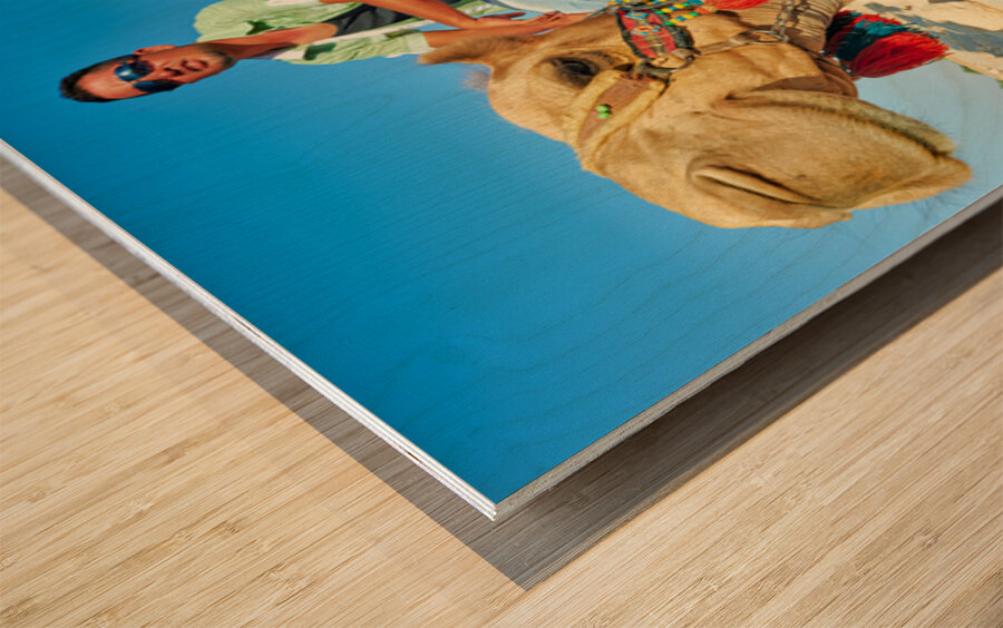 Camel driver in ancient Palmyra leading a tourist ride Wood print