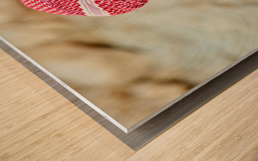 Young man in Syria smiles during a sunny day outdoors Wood print