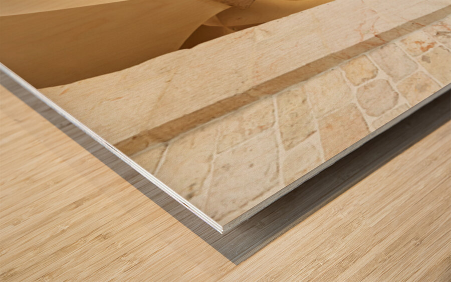 Sitting and waiting at a mosque in Aleppo Syria Wood print