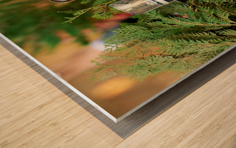 Young woman smokes hookah in outdoor cafe in Aleppo Syria Wood print