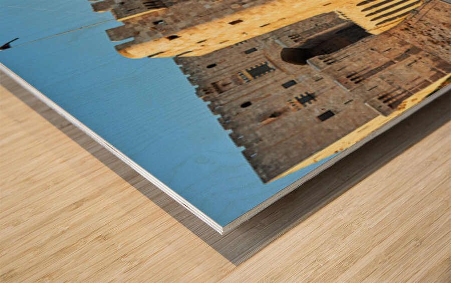 Visit to Citadel of Aleppo in Syria during evening light Wood print