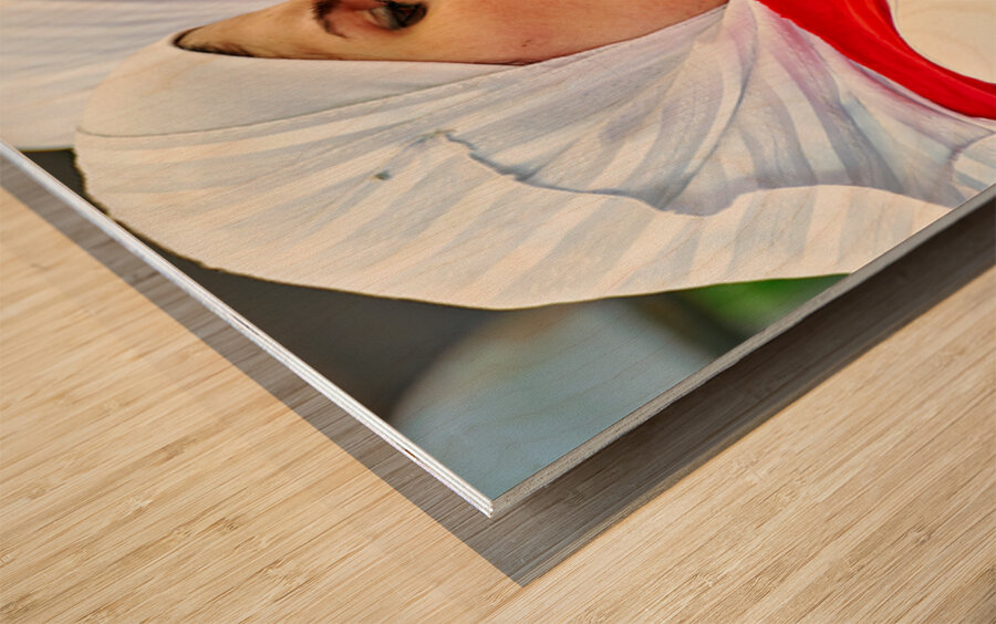 Young women enjoy hookah and talk on mobile phone in Aleppo Syri Wood print