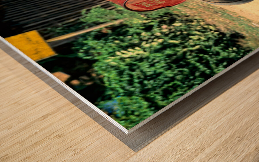 Boy pushes a cart down the street in Myanmar during the day Wood print