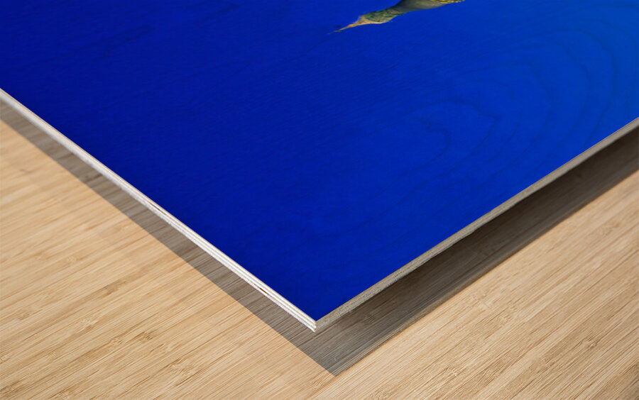 Popular Schwedagon Paya at night in Yangon Myanmar Wood print