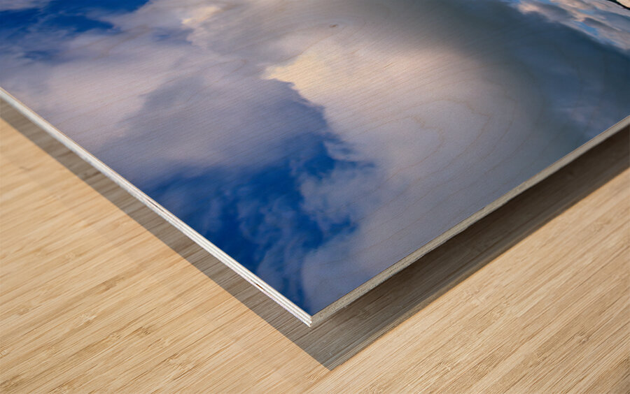 Mongolic nomadic tents in a grassland in Mongolia Wood print