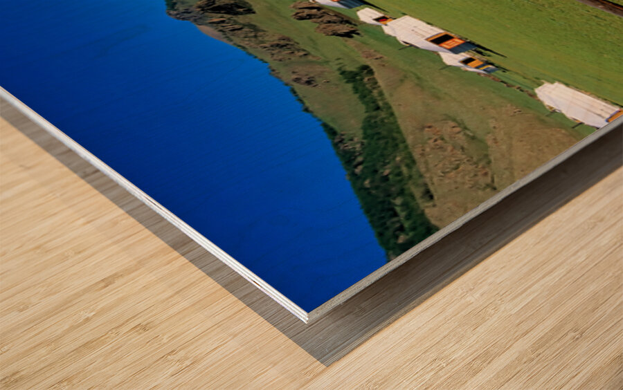 Ger tents in the grassy fields of Mongolia under clear skies Wood print