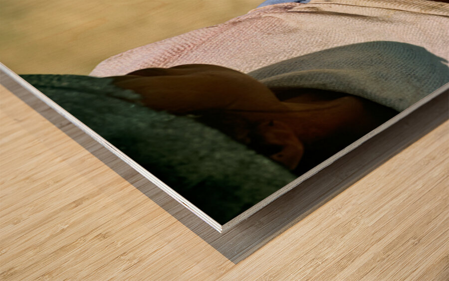 Indigenous mother nourishes child in the Andes of Argentina Wood print