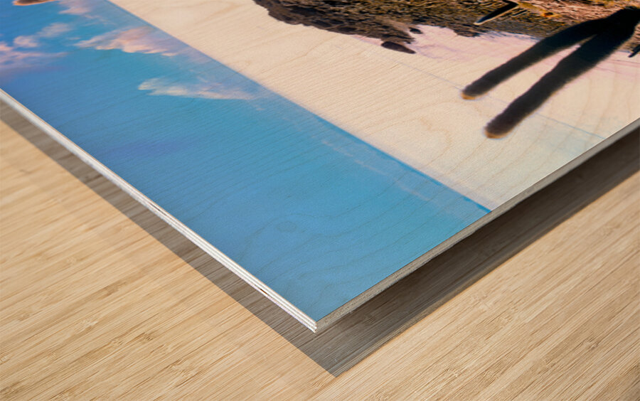 Cactus island in a vast white salt flat under blue sky. Wood print
