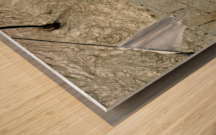 Cremation ceremony at Pashupatinath in Kathmandu Nepal Wood print