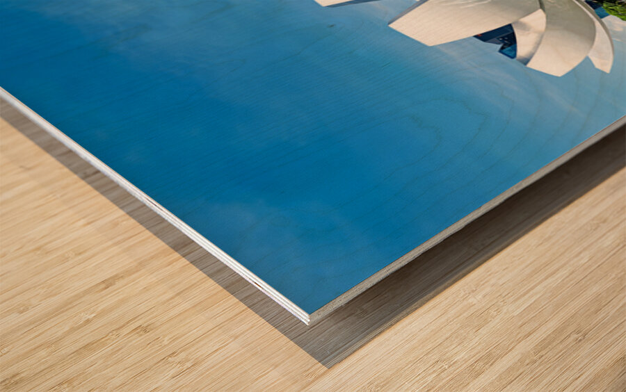 Visitors enjoy view of ArtScience Museum and city skyline in Sin Wood print