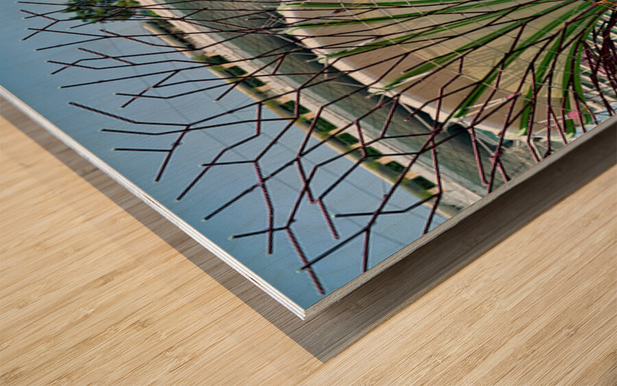 People walk on bridge connecting to Supertree Grove in Singapore Wood print