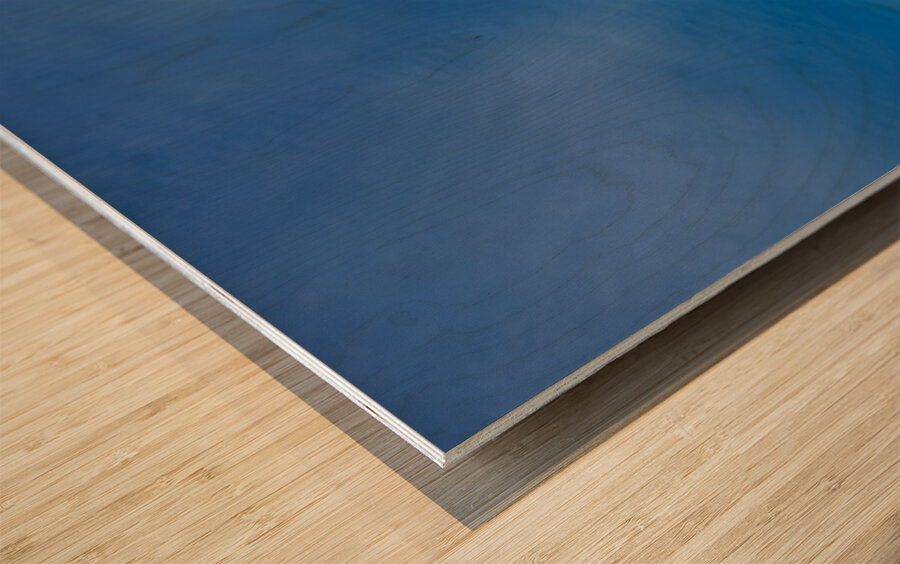 Visiting st. isaacs cathedral in saint petersburg russia Wood print