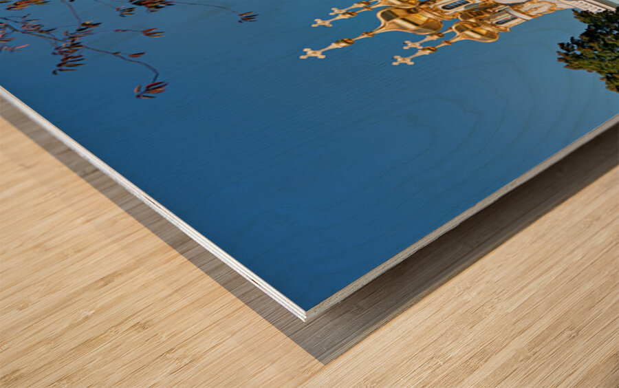 Catherine palace in pushkin saint petersburg russia Wood print