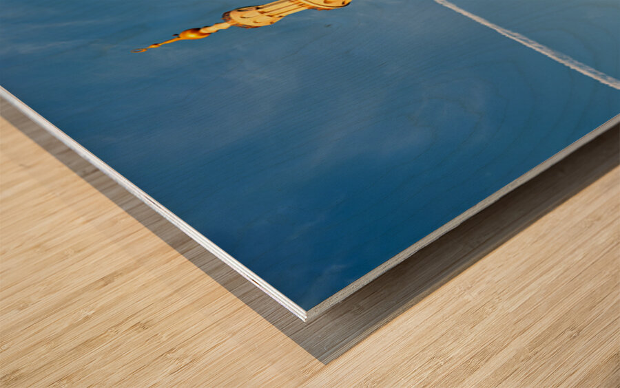 Exploring Sheikh Zayed Grand Mosque in Abu Dhabi during sunset Wood print