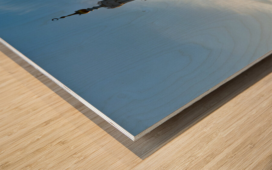 Sheikh Zayed Grand Mosque in Abu Dhabi during sunset Wood print