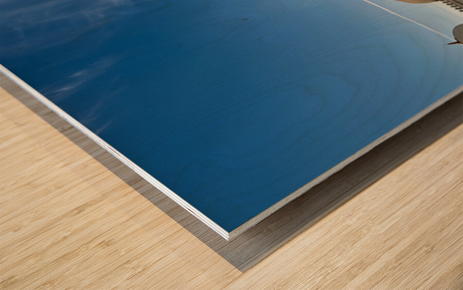 Visit to Sheikh Zayed Grand Mosque in Abu Dhabi at sunset Wood print