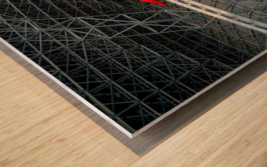 Ferrari World roller coaster ride in Abu Dhabi with guests Wood print