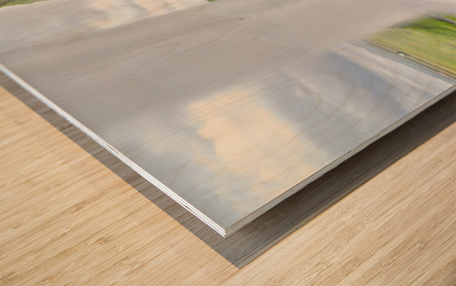 Seljalandsfoss waterfall view from behind in Iceland Wood print