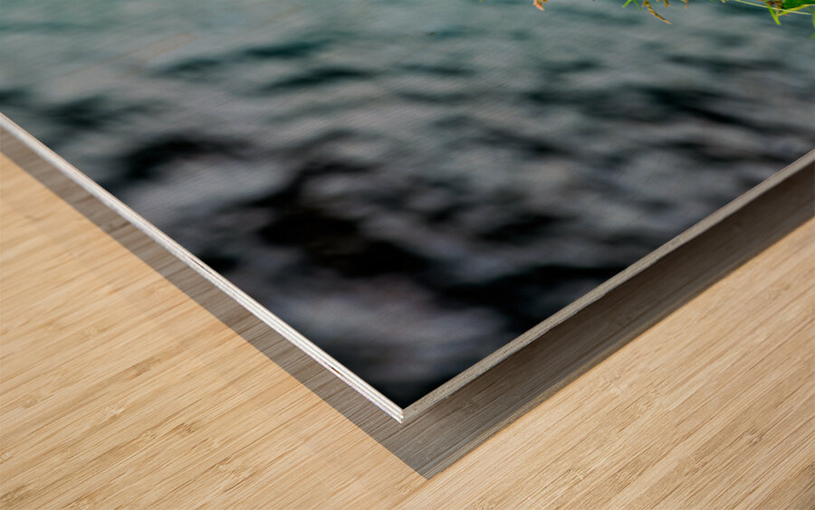 Puffin resting on grass at Borgarfjordur Eystri in Iceland Wood print