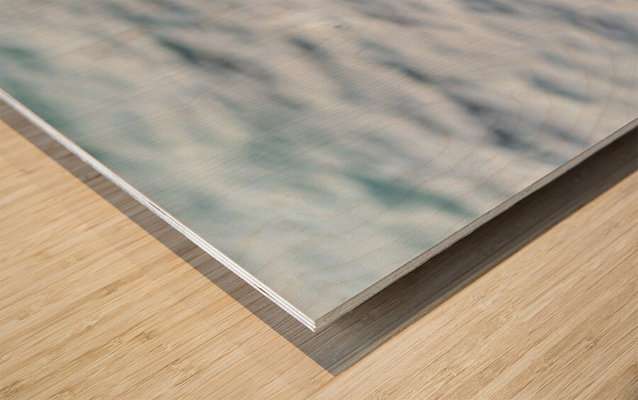 Puffin on rock at Borgarfjordur Eystri in Iceland by the ocean Wood print