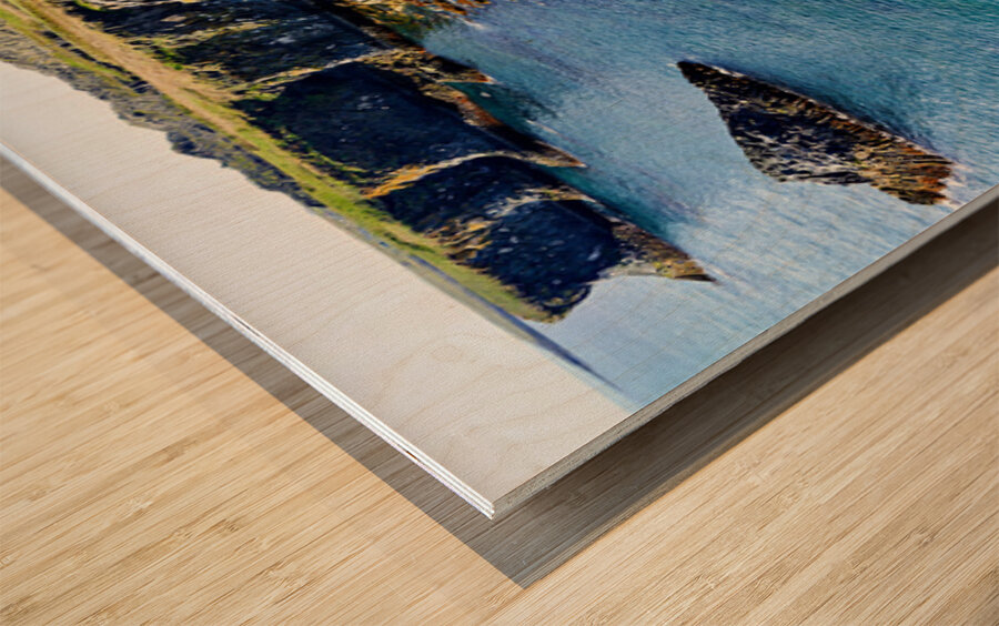 View of Arnarstapi cliffs and black sand beach in Iceland Wood print