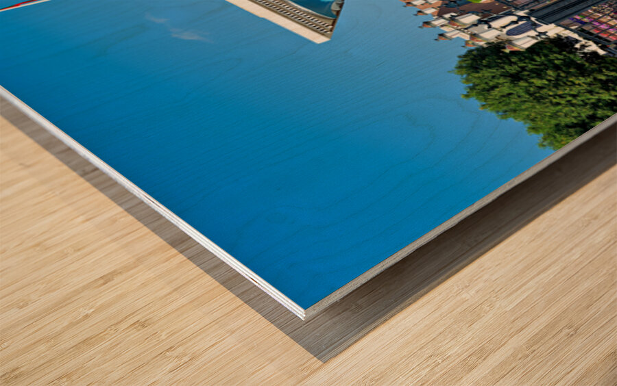 View of Al Alam Palace in Muscat Oman during daytime Wood print