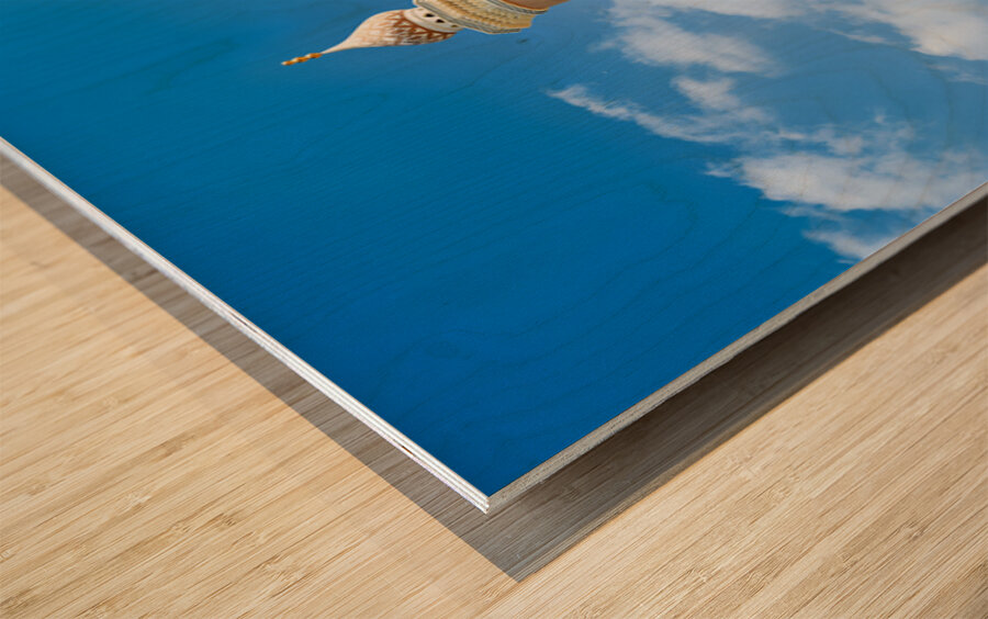 Nizwa Fort shows mosque and tower with blue sky and clouds Wood print